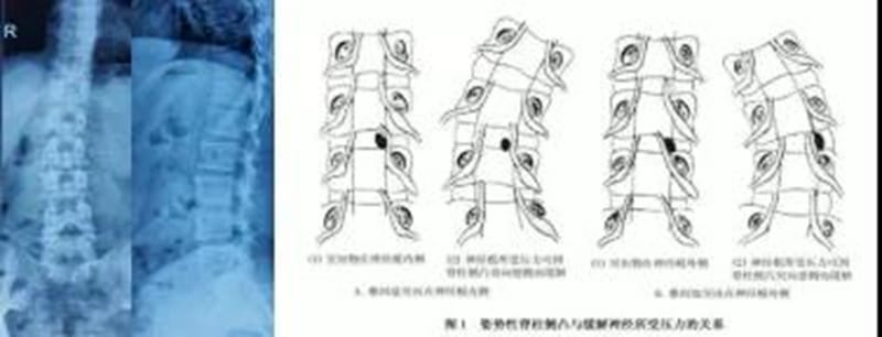 微信圖片_20220128092606.jpg