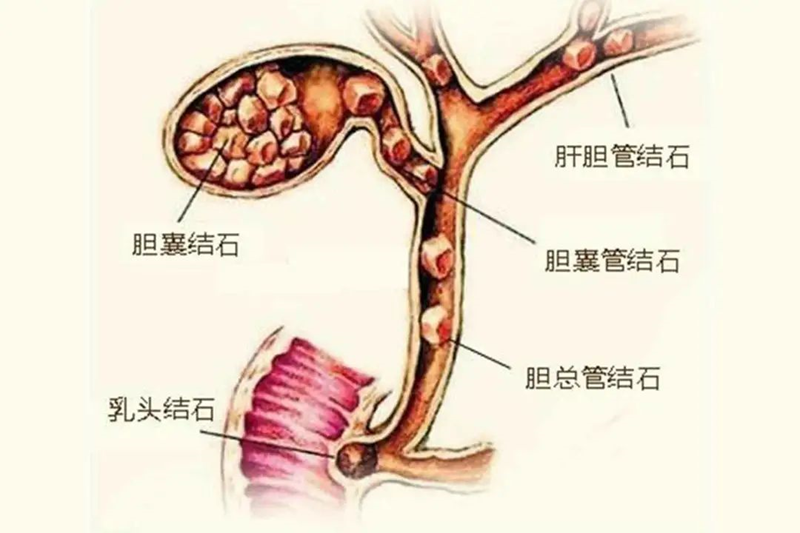 微信圖片_20220316082456.png
