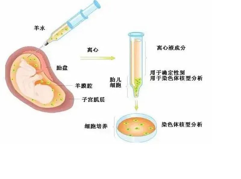 微信圖片_20220411083920.jpg