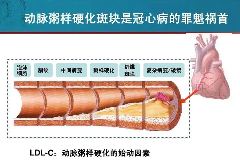 微信圖片_20220414081518.jpg