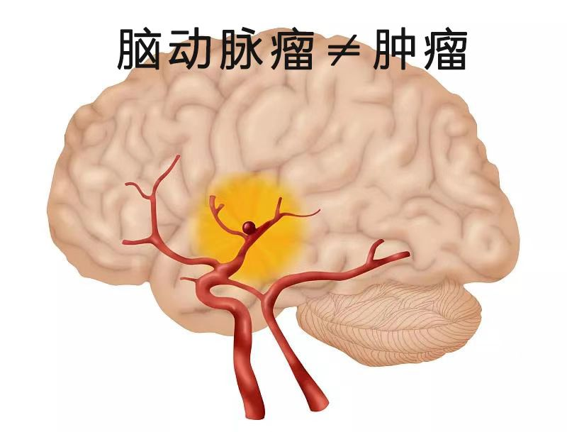微信圖片_20220614170934.png