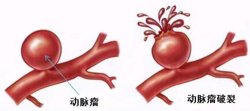 微信圖片_20220614170937.png