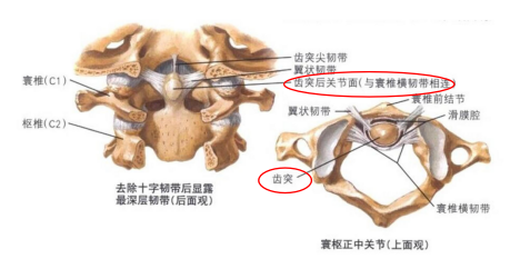 微信圖片_20250421143705.png