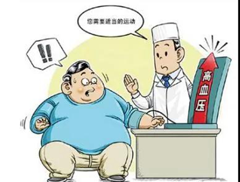 【肥胖與高血壓】心血管內科專家張泉：肥胖已成為高血壓患病率快速增長的主要原因之一