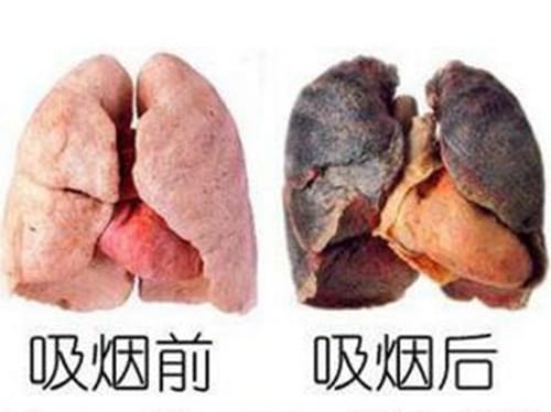 微信圖片_20180601091642.jpg